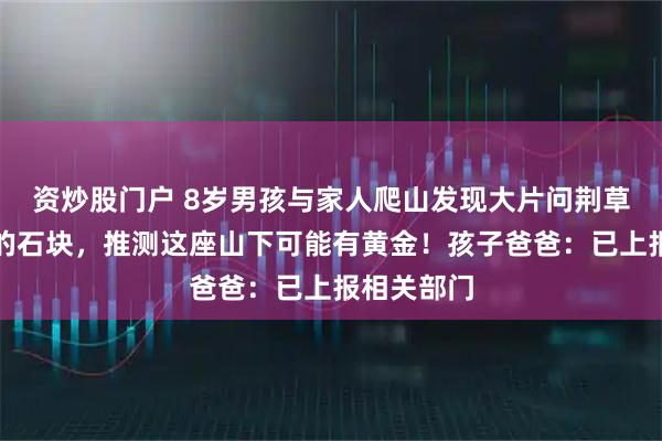 资炒股门户 8岁男孩与家人爬山发现大片问荆草和含云母的石块，推测这座山下可能有黄金！孩子爸爸：已上报相关部门