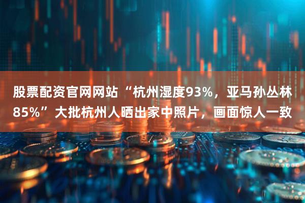 股票配资官网网站 “杭州湿度93%，亚马孙丛林85%” 大批杭州人晒出家中照片，画面惊人一致