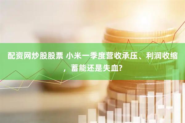 配资网炒股股票 小米一季度营收承压、利润收缩，蓄能还是失血?